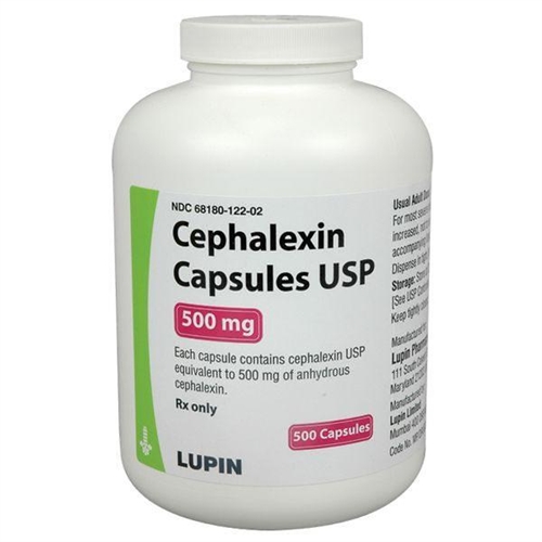 Can I Drink Coffee While Taking Cephalexin
